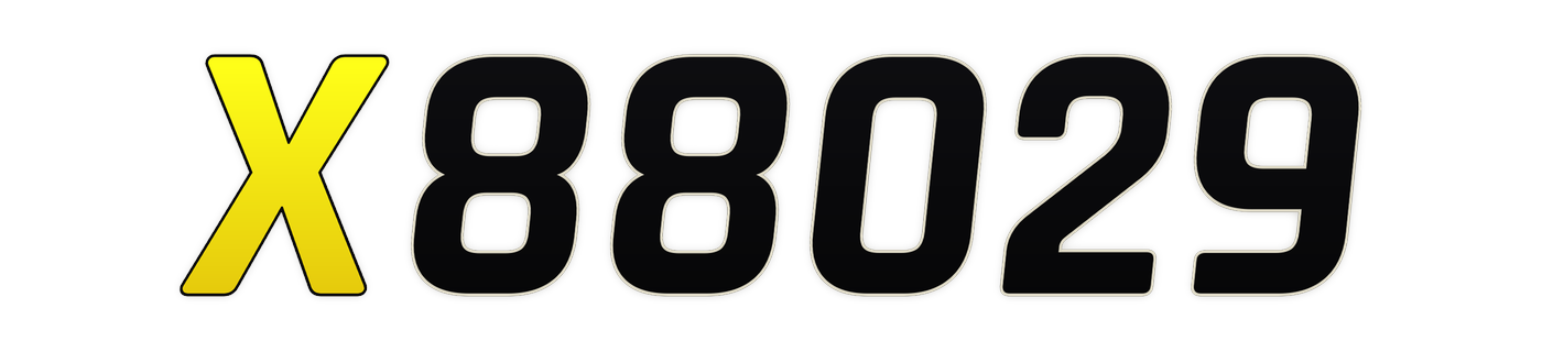 x88029